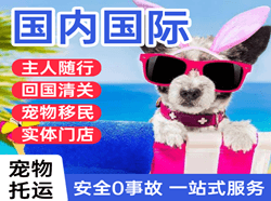 张家口宁远机场快运国际宠物托运 【国